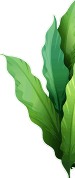 22.png